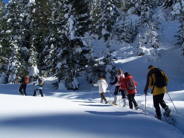 Journée « Connexion Nature » – Hiver